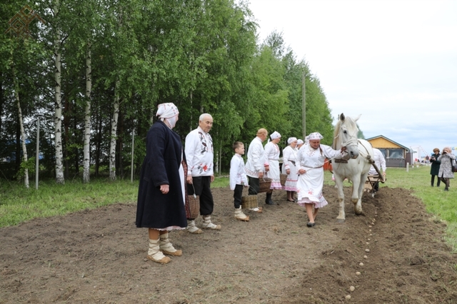 Патӑрьел районӗнчи Акатуй саманчӗ. Лариса Никитина сӑн ӳкерчӗкӗ.