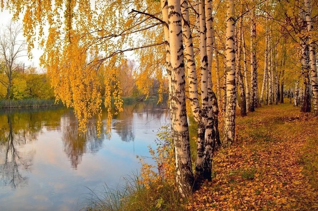 mk.ru сайтри сӑн