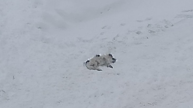 "Про Город" сайтри сӑн