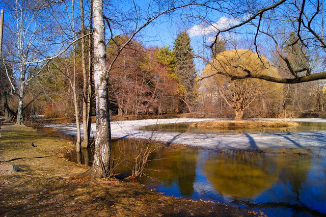 novokuznetsk.su сайтри сӑн