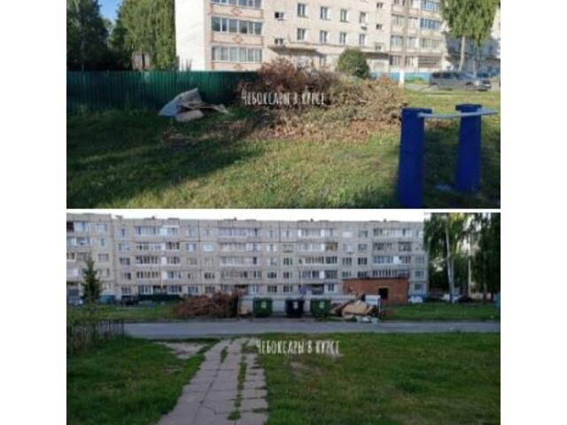 t.me/pro_cheby сӑнӳкерчӗкӗ