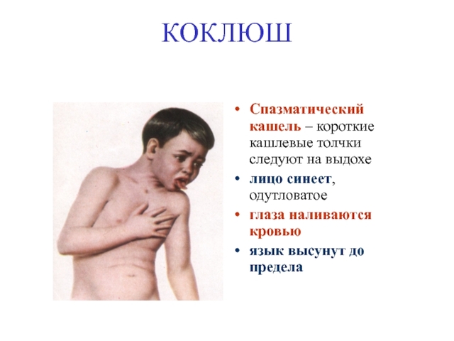 krasivoe-foto.ru сайтри сӑн