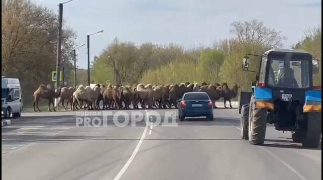 «Про Город» сайтӗнчи сӑн