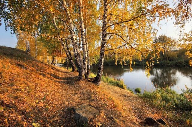 kostroma.mk.ru сайтри сӑн