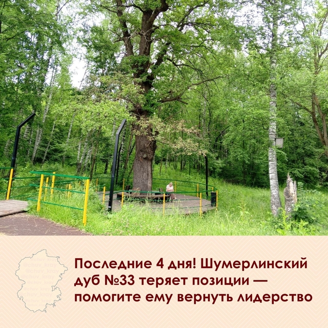 «Контактри» сӑн