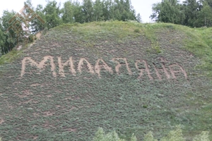 Тобольскри Чӑваш сӑрчӗ / Н. Плотников тунӑ сӑн